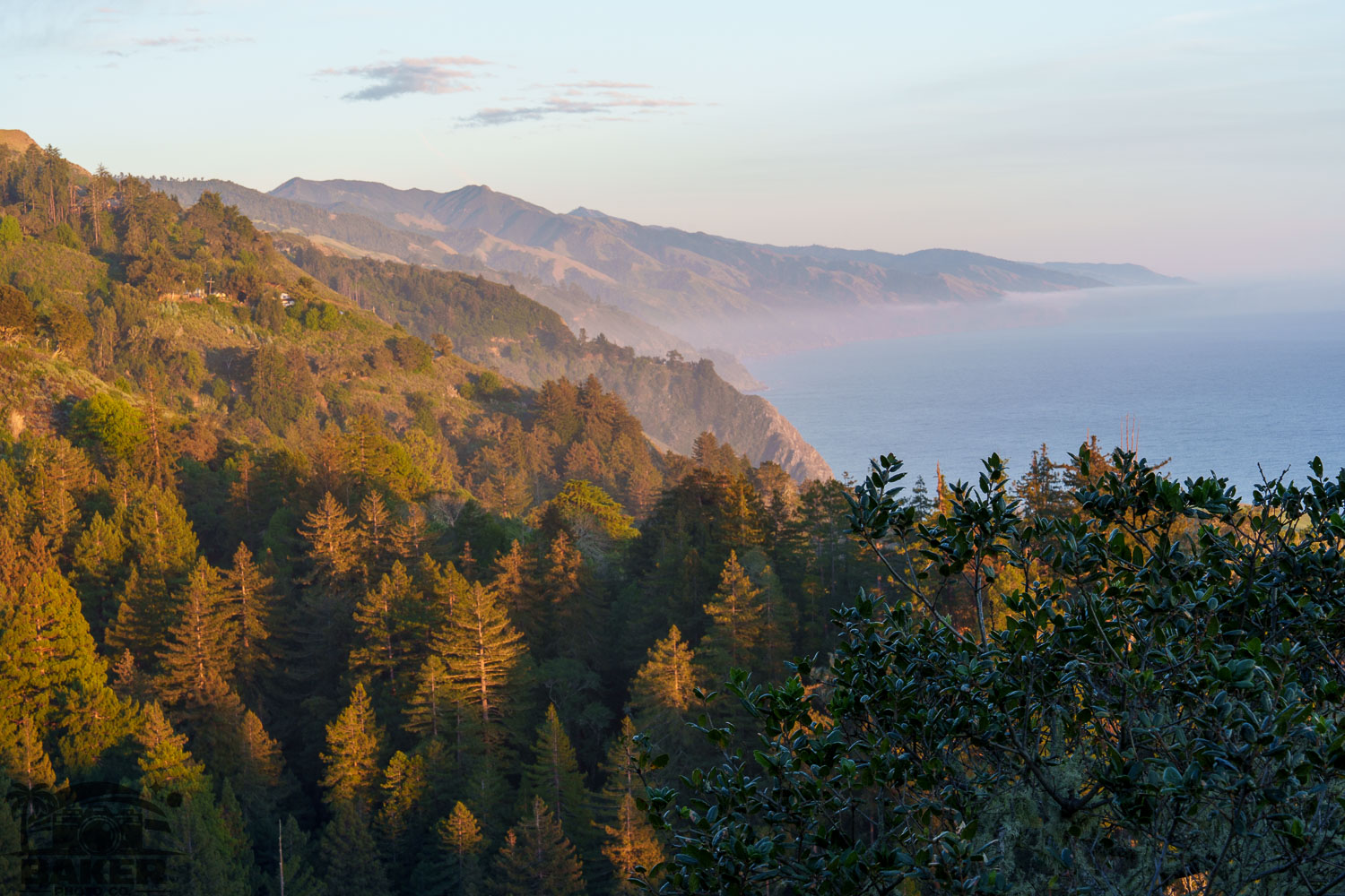 Big Sur Session
