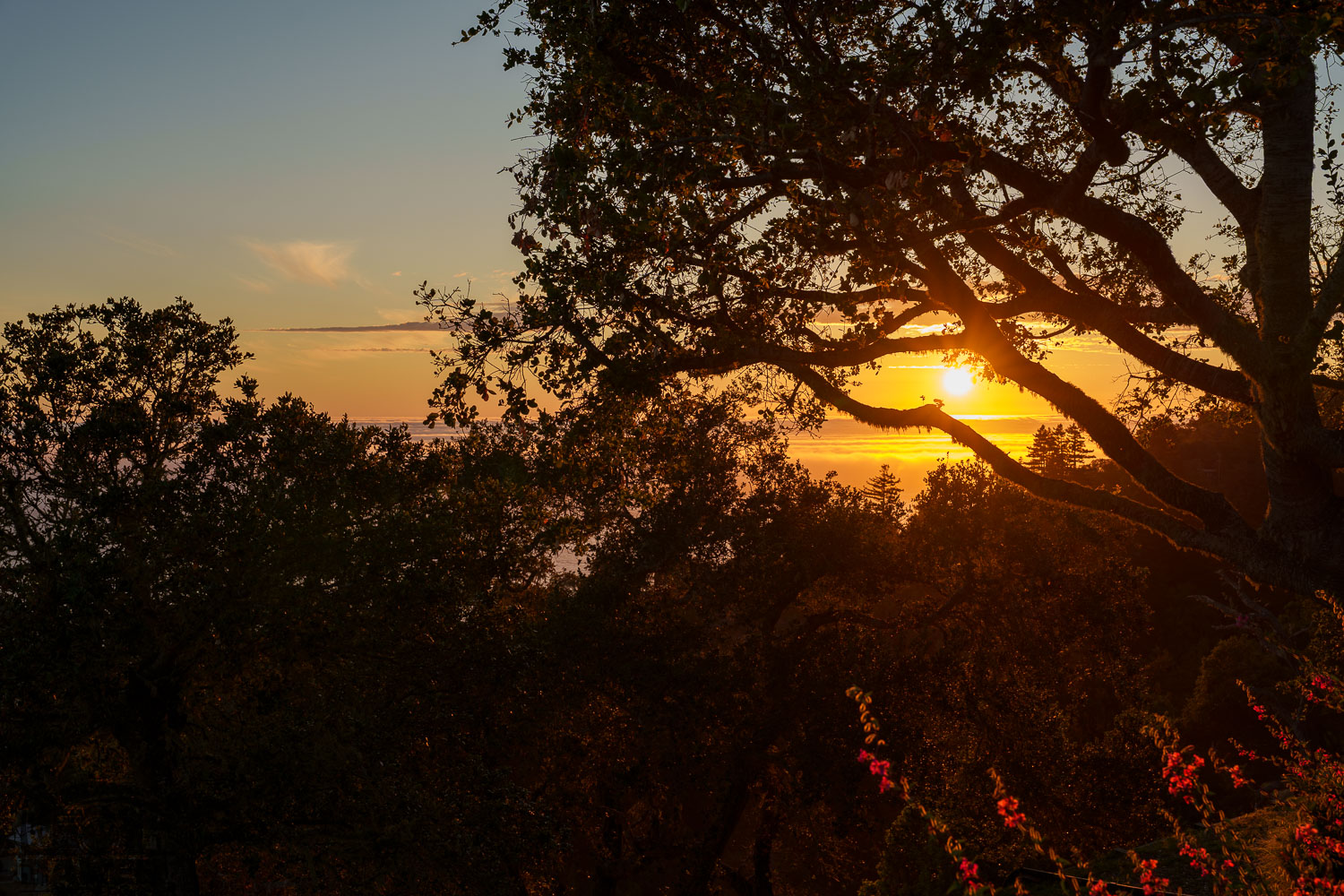 Big Sur
