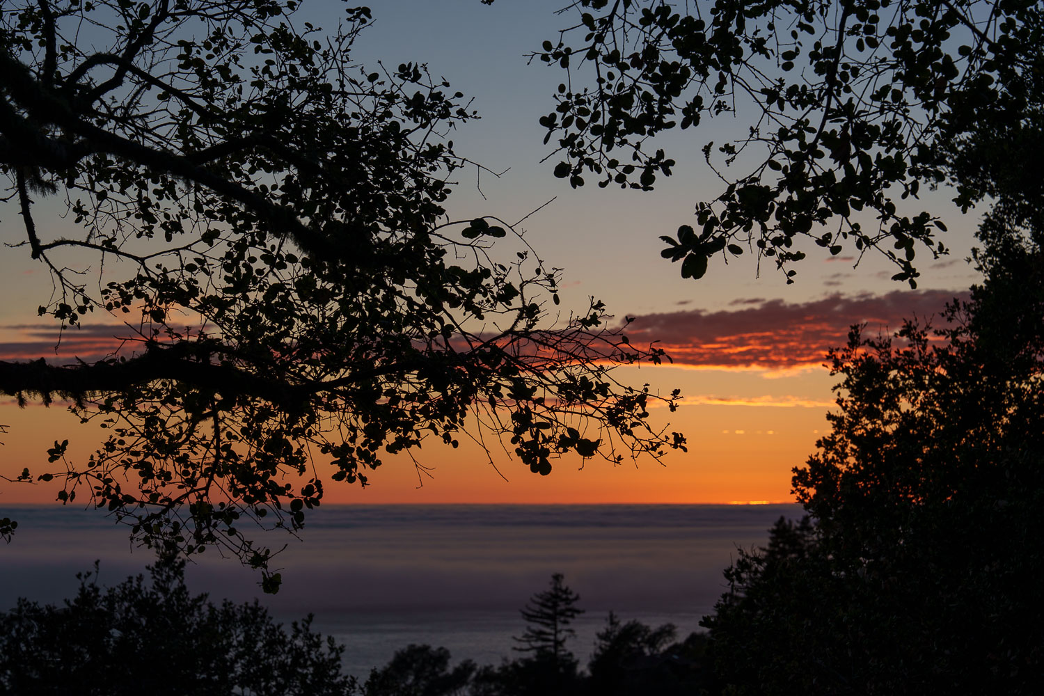 Big Sur