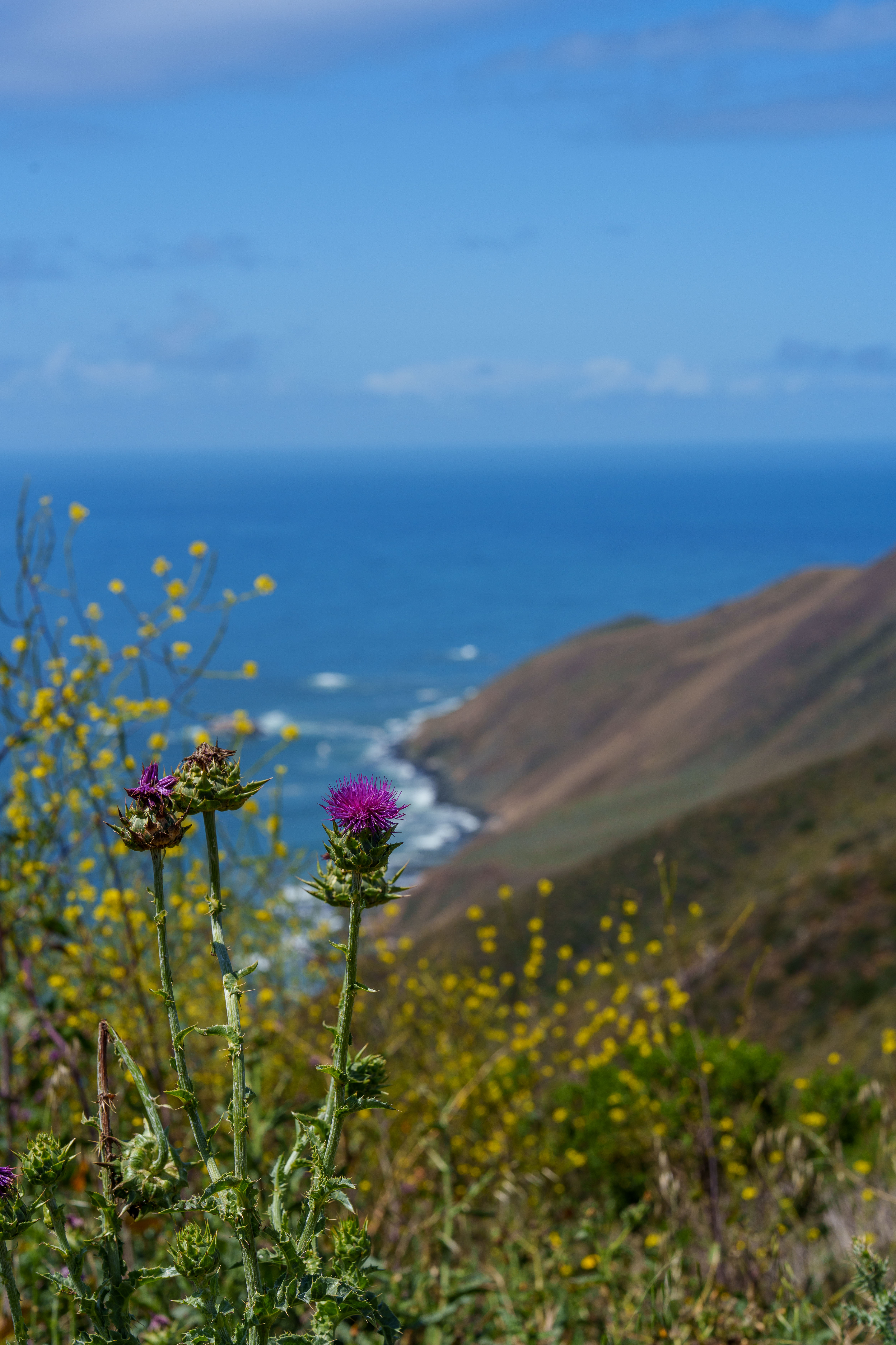Central Coast
