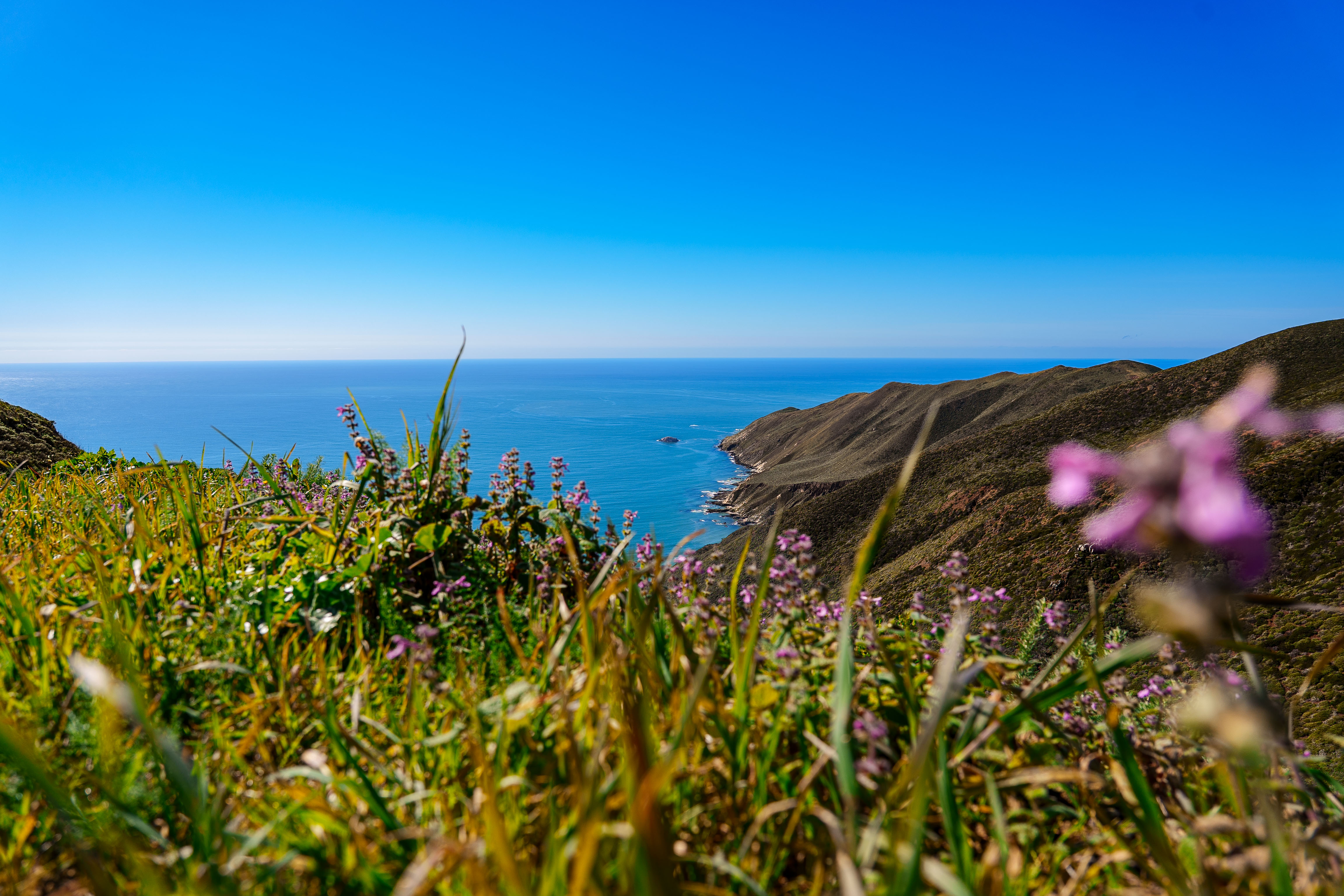 Central Coast